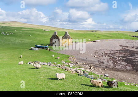 Eshaness peninsula, the old haaf fishing station at Stenness, Shetland islands, Scotland. (Large format sizes available) Stock Photo