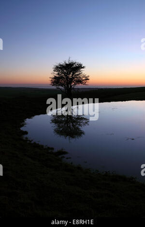 Dew pond on the South Downs at dusk. Stock Photo