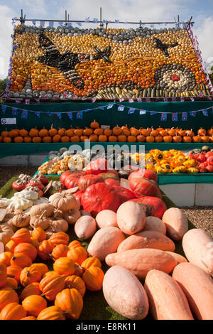 display of pumpkin squash varieties, Slindon Farm, West Sussex Stock Photo