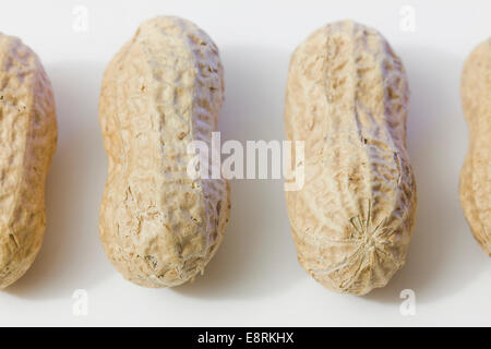 Peanuts in shell Stock Photo