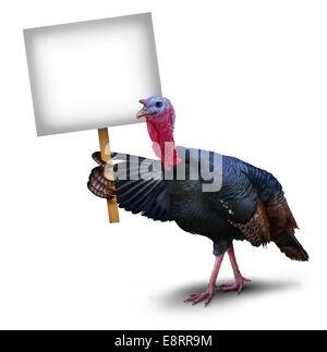 Turkey bird sign concept as a thanksgiving character symbol holding up with its wing a sign placard on a white background representing autumn celebration ans seasonal wildlife theme. Stock Photo