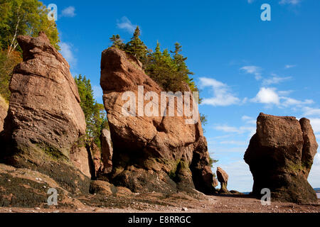 Sea stacks and cliffs at the Hopewell Rocks in Hopewell Rocks ...