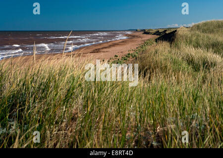 Coastline on North Cape Coastal Drive - Prince Edward Island, Canada Stock Photo