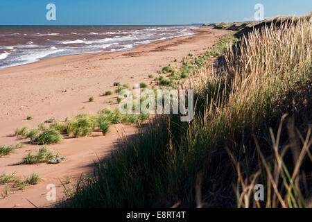 Coastline on North Cape Coastal Drive - Prince Edward Island, Canada Stock Photo