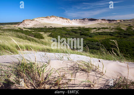 Greenwich Dunes Trail - Prince Edward Island, Canada Stock Photo