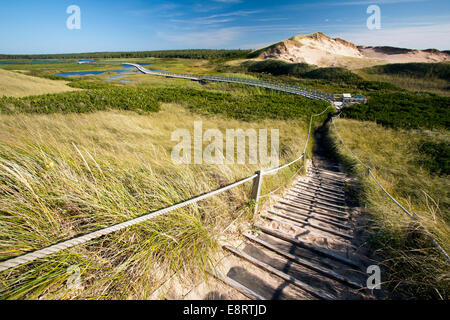 Greenwich Dunes Trail - Prince Edward Island, Canada Stock Photo