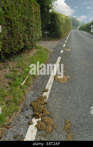 Typical country lane scene with squashed horse manure on roadside slippery surface for cyclists Stock Photo