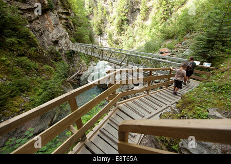 Gorges de la Diosaz (Upper Savoy,France) Stock Photo