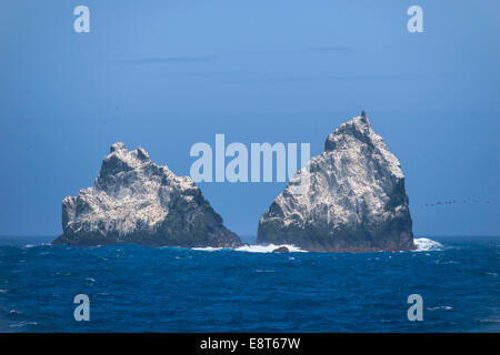 The Shag Rocks, group of islands in the South Atlantic Ocean, South Georgia and the South Sandwich Islands, United Kingdom Stock Photo