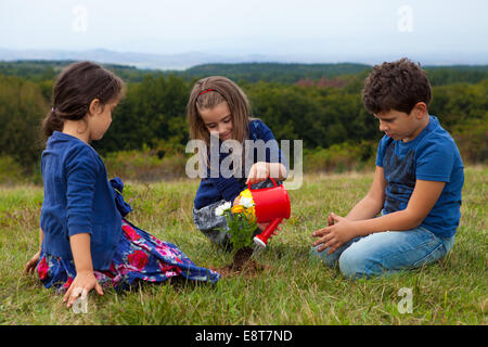 Kids gardening and watering plants with a toy plastic watering can Stock Photo