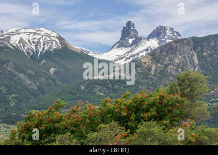 Snowy mountains and Chilean fire bush, also Notro or ciruelillo (Embothrium coccineum), Villa Cerro Castillo, Aysén, Chile Stock Photo