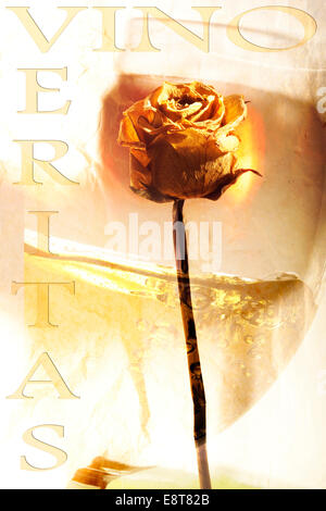 Words "vino veritas," and dried rose Stock Photo