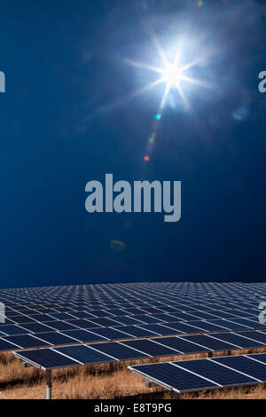 Sun shining over field of solar panels Stock Photo