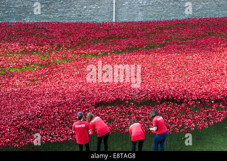 Tower of London Remembers poppy installation Stock Photo