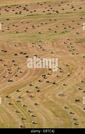 Aerial image of hay bales in a West Sussex farm field during the hot ...