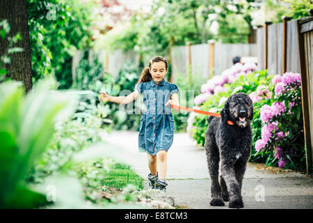 Mixed race girl walking dog on suburban sidewalk Stock Photo