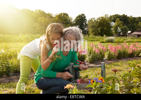 Caucasian grandmother and granddaughter picking flowers on farm Stock Photo