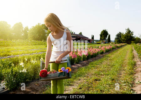 Caucasian girl picking flowers on farm Stock Photo