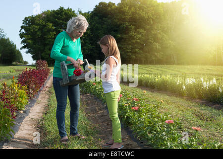 Caucasian grandmother and granddaughter picking flowers on farm Stock Photo