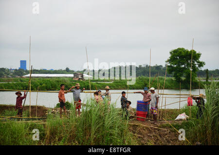 Burmese people fishermen prepare tools for catch fish while raining at fish pond on July 13, 2014 in Bago, Burma. Stock Photo