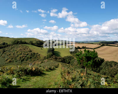 View over the countryside from the top of Colmer's Hill, Symondsbury, Dorset, UK Stock Photo