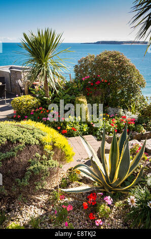 Mexican and Mediterranean plant variegated AGAVE AMERICANA growing as a primary feature in a seaside garden in Tenby Pembs Stock Photo