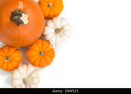 Pie pumpkin surrounded by mini pumpkins against white background, top view Stock Photo