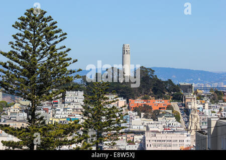 A view towards Coit Tower, San Francisco, California Stock Photo