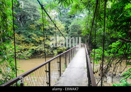 Suspension bridge at the Osun Sacred Grove, UNESCO site in Oshogbo, Nigeria, dedicated to the Yoruba goddess of fertility Stock Photo