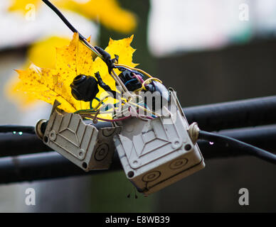 Power to the people. Broken electrical box and open live wires in the open air in wet and rainy autumn day Stock Photo