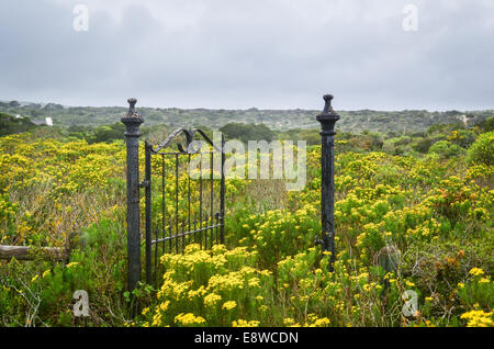 A gate in a field of flowers leading to nowhere Stock Photo