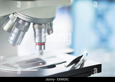 Close up of slide in microscope in lab Stock Photo