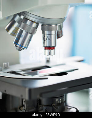 Close up of slide in microscope in lab Stock Photo