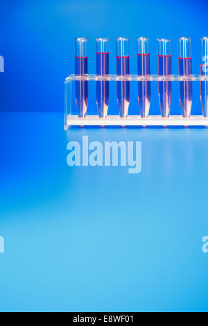 Rack of test tubes with solution on blue counter Stock Photo