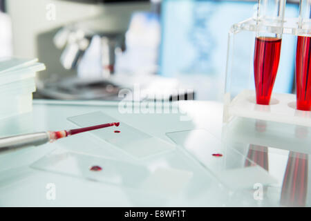 Close up of pipette dropping sample onto microscope slide in lab Stock Photo