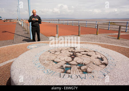 UK, England, Lancashire, Morecambe, Stone Jetty, Tern Project tongue twisters sculpture Stock Photo