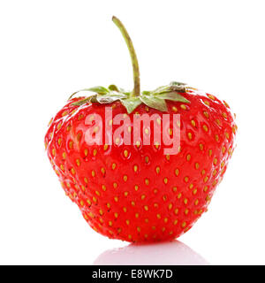 One fresh strawberry standing over white background Stock Photo - Alamy