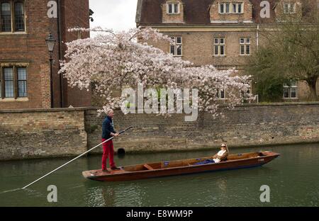 People out punting on the river Cam in Cambridge on a sunny spring day. March 17, 2014. Stock Photo