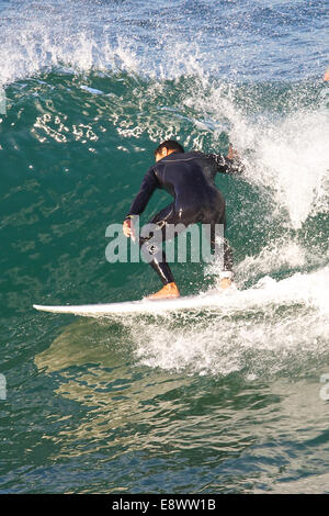 Surfing At Sunrise. Hermosa Beach, California. Stock Photo