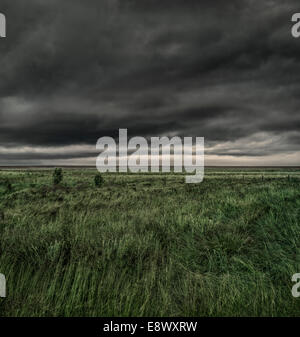 Storm clouds over grasslands, Snaefellsnes Peninsula, Iceland Stock Photo