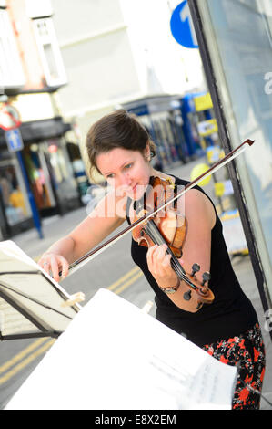 Strings: The Solem  String Quartet performing at Musicfest 2014 Aberystwyth Arts Centre Wales UK Stock Photo