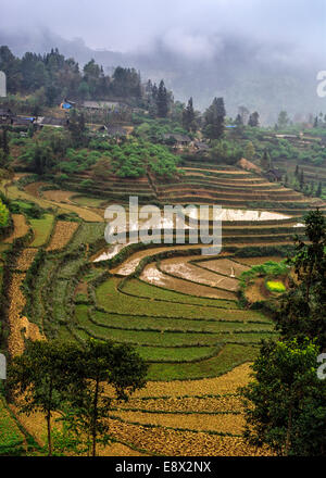 Winter landscape in the mountains with terraced paddies. Stock Photo