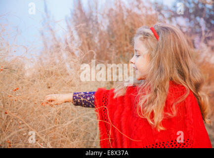 Girl in the field to touch the berries on branches Stock Photo