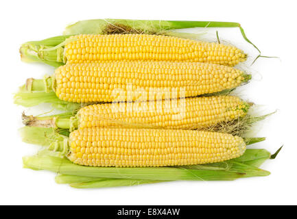 Heap of corns on the cob with hair isolated on white background. Corn ears. Stock Photo