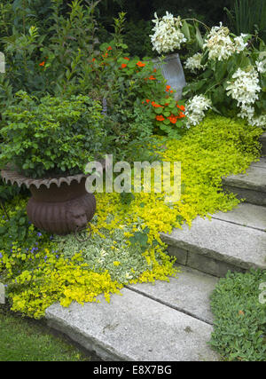 Vashon-Maury Island, WA: Stone steps leading through a summer garden with potted plants and flowers Stock Photo