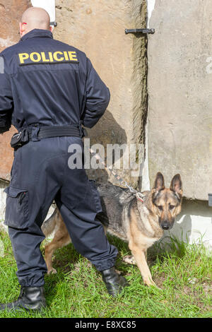 Police with dog, a German shepherd search for explosives, control objects,  Czech police Stock Photo