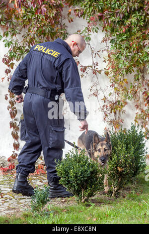 Police with dog, a German shepherd search for explosives, control objects,  Czech police Stock Photo