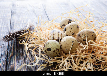 quail eggs in the straw and with feather on wooden background Stock Photo