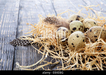 quail eggs in the straw and with feather on wooden background Stock Photo
