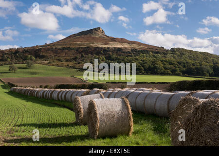 Under blue sky, straw bales lined-up in field at foot of Roseberry Topping, prominent hill in scenic rural landscape - North Yorkshire, England, UK. Stock Photo
